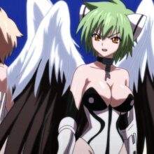 Harpies fan service