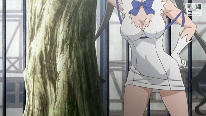 Hestia's fanservice in season#2ep5-Scene1