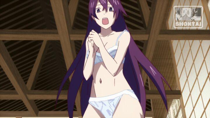 Hitagi Senjougahara's fanservice in Bakemonogatari_Ep1-Scene23