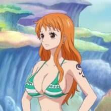 Nami fan service